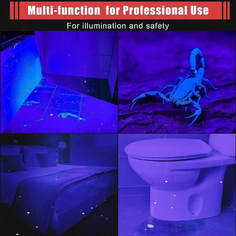 UV Taschenlampe 395nm - Ultraviolett für Haustier-Urin Detektor