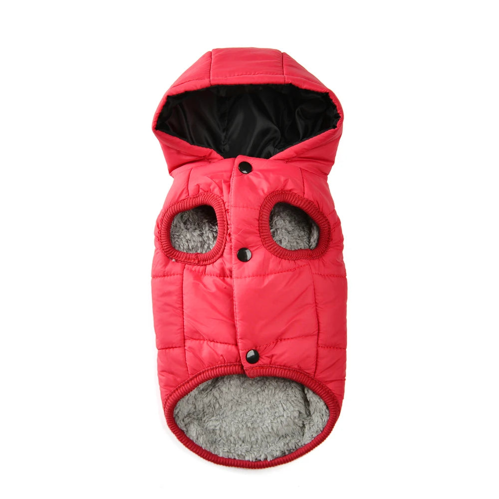 Winter Hundejacke mit Kapuze – warm & wasserdicht