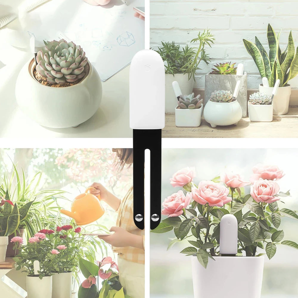 Smart Pflanzen-Sensor Boden-Tester Xiaomi Mijia
