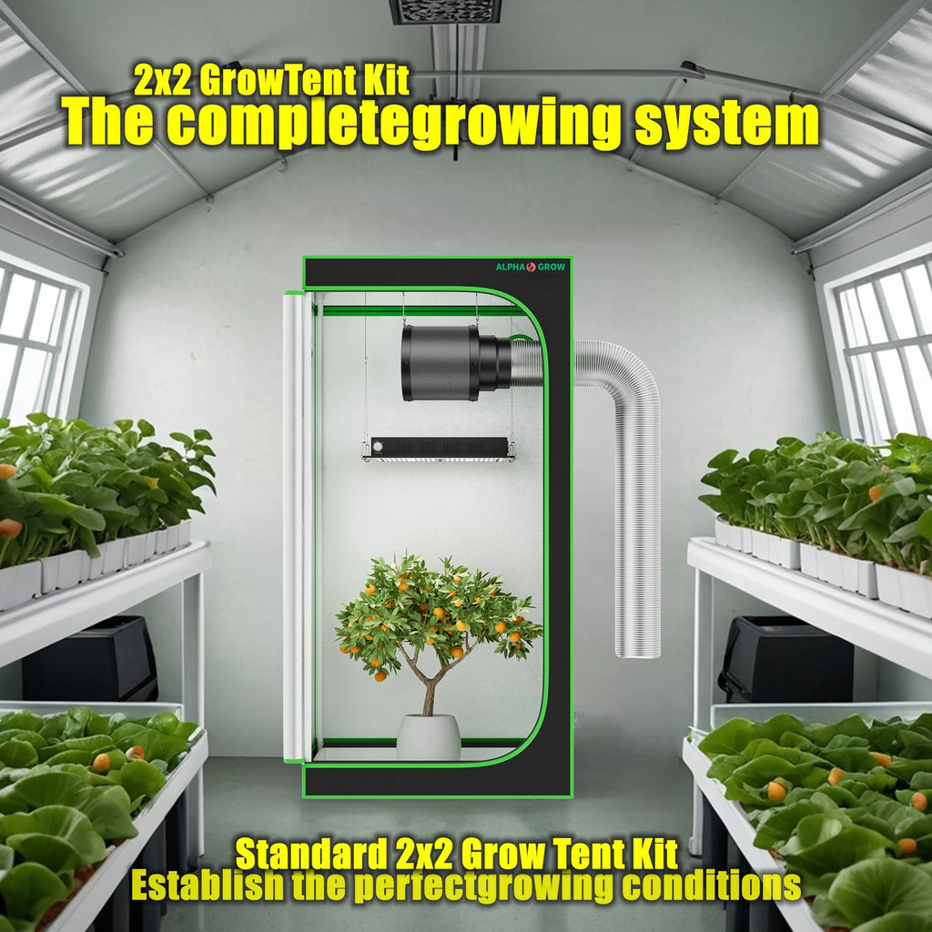 Growzelt Komplett-Set 60x60x120cm mit LED & Belüftung