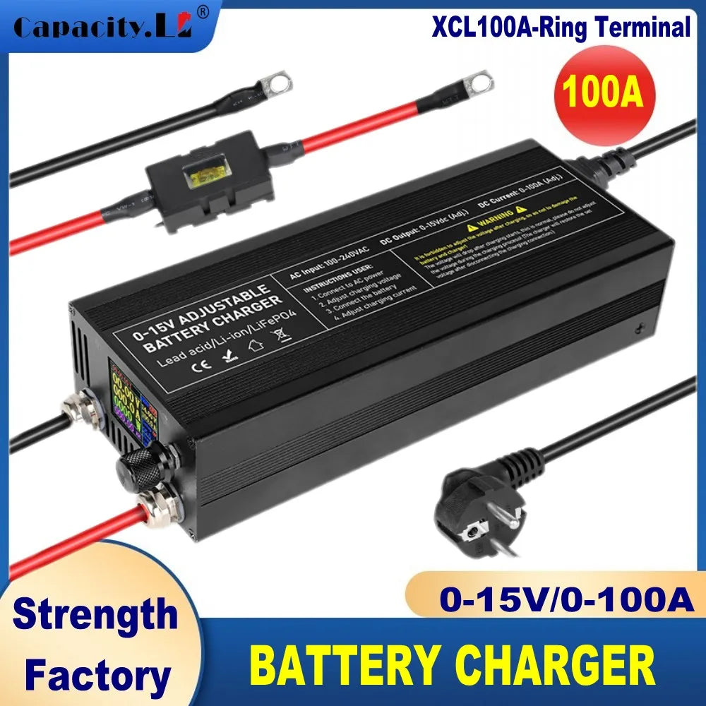 Lithium Batterieladegerät 12V 20-100A – LiFePO4