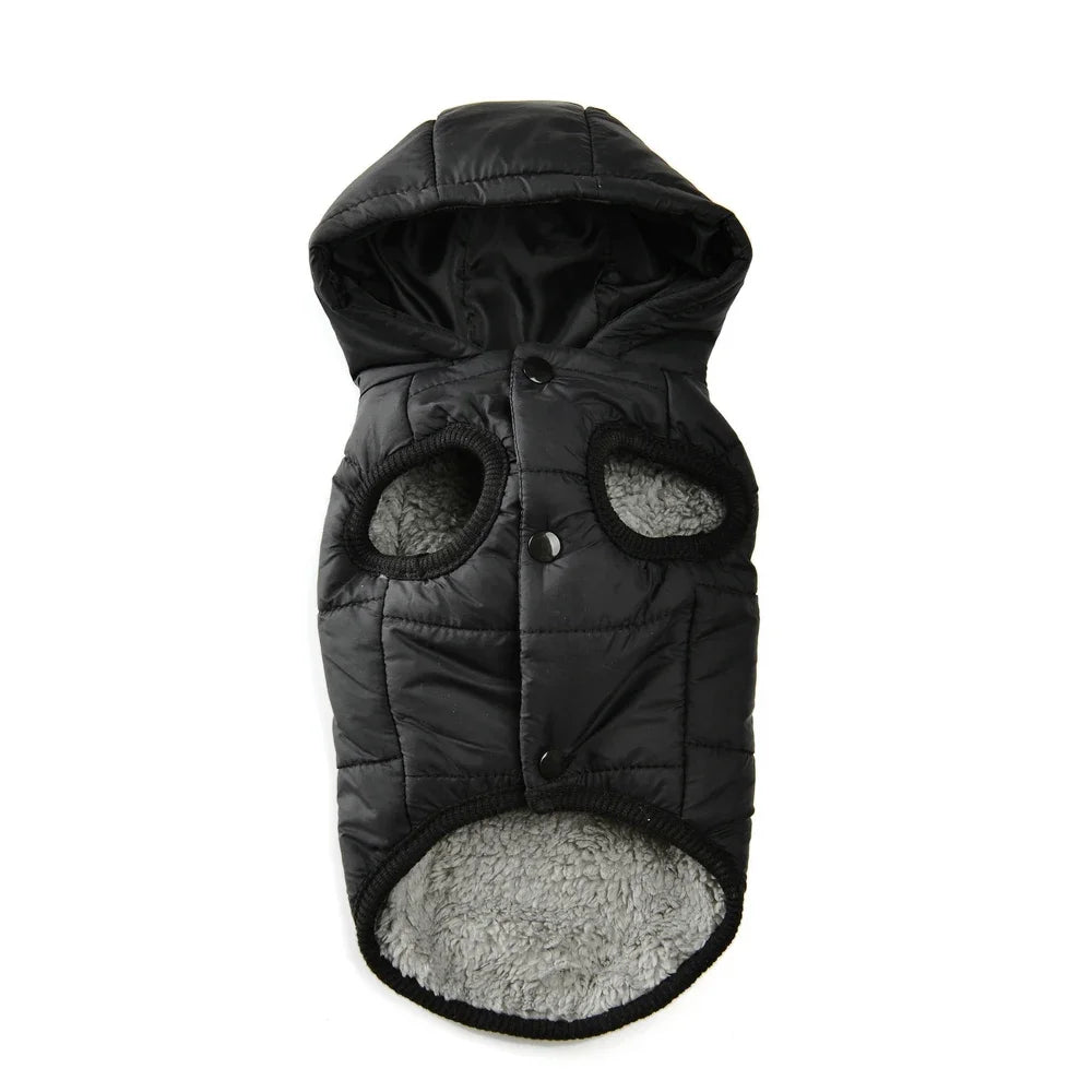 Winter Hundejacke mit Kapuze – warm & wasserdicht