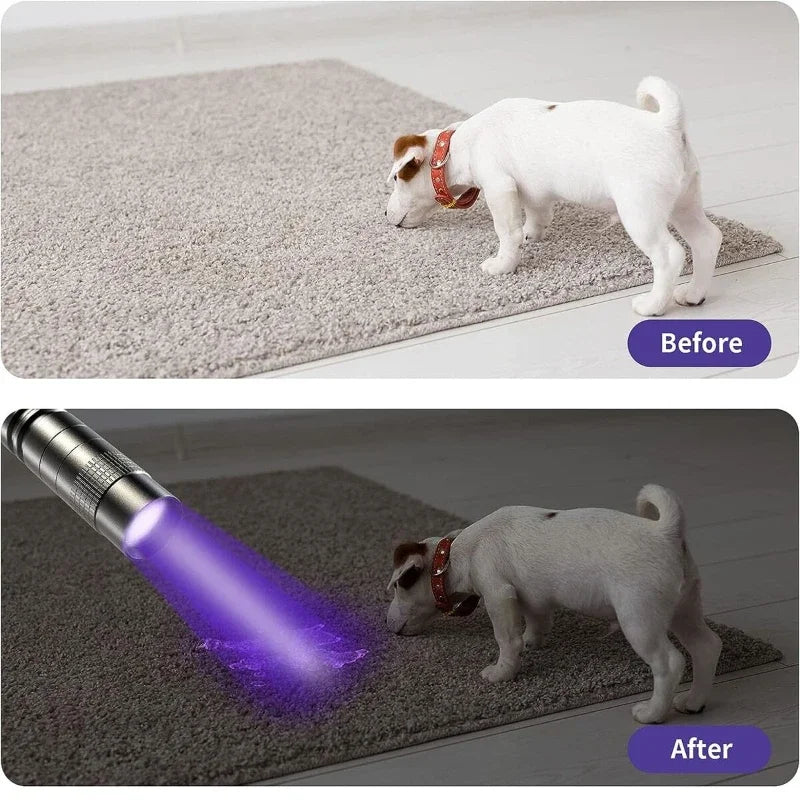 UV Taschenlampe 395nm - Ultraviolett für Haustier-Urin Detektor