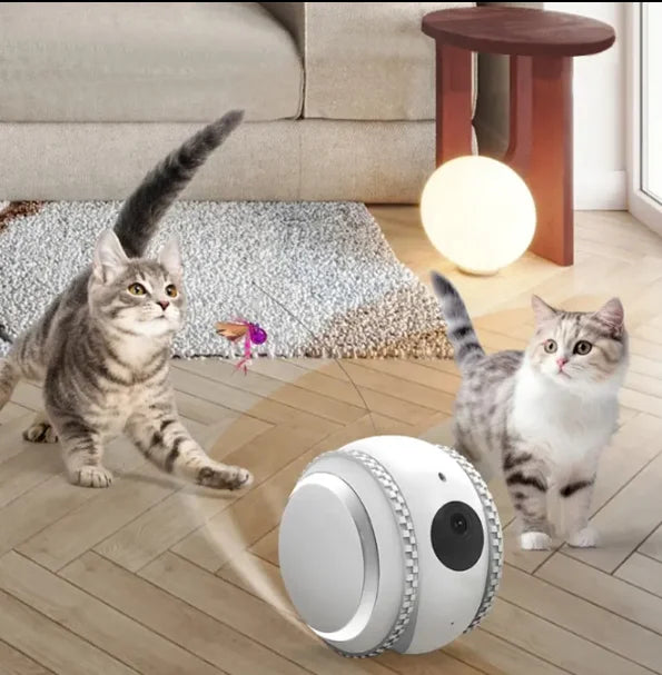Smart Haustier-Roboter mit WiFi & HD-Kamera