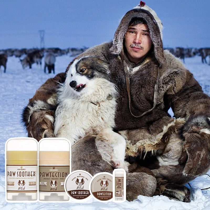 Bio-Pfotenbalsam für Hunde – Schutz & Pflege