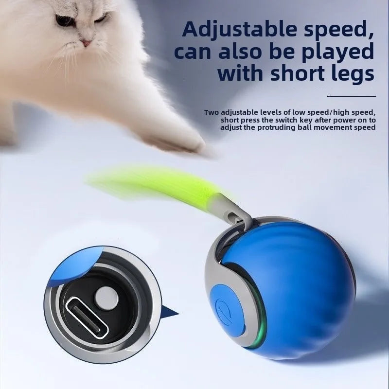 Interaktiver Katzenball elektrisch – selbstrollend & smart