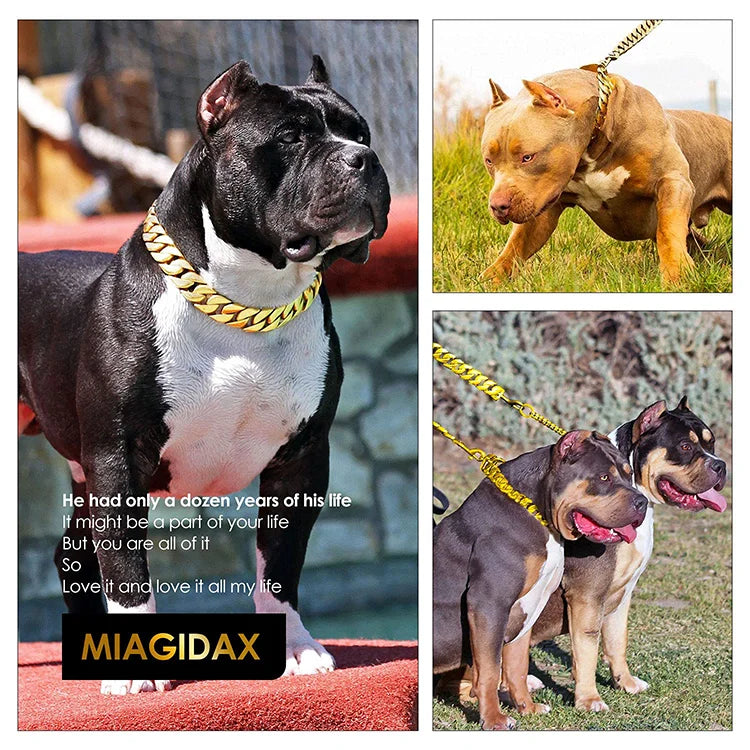 Hunde-Halskette Edelstahl Gold – Cuban Link Design
