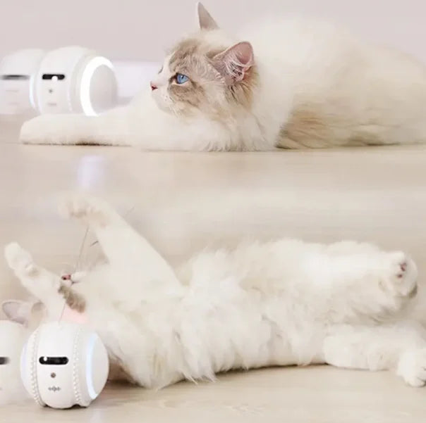 Smart Haustier-Roboter mit WiFi & HD-Kamera