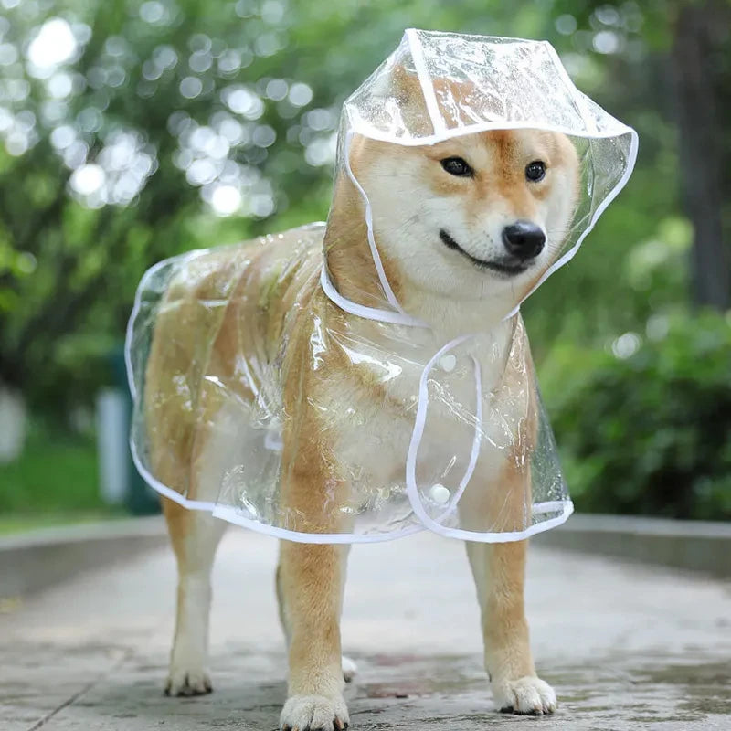 Hunde-Regenmantel transparent mit Kapuze