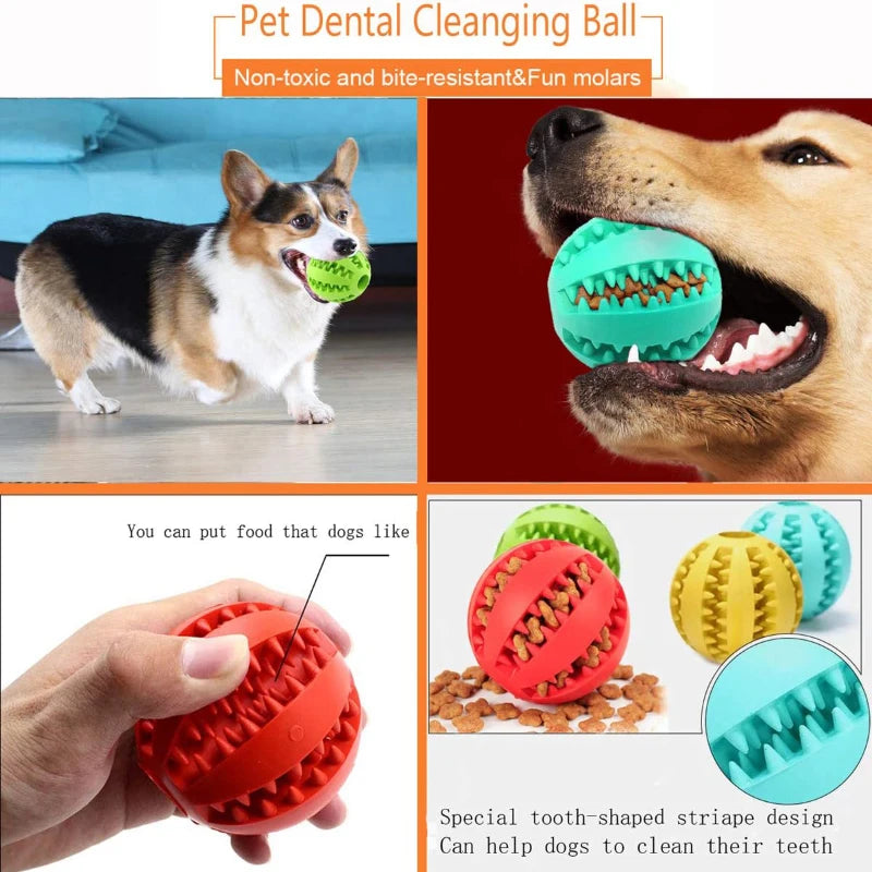 Hunde-Spielzeugball Gummi – Zahnreinigung & Leckerli