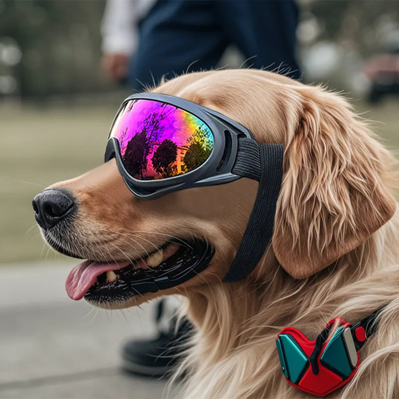 Hunde-Sonnenbrille mit UV-Schutz – verstellbar