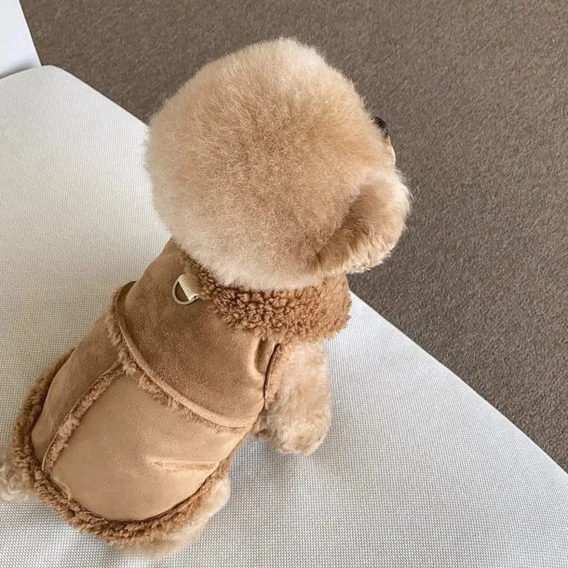 Hunde-Sweatshirt klein – für Chihuahua & kleine Rassen