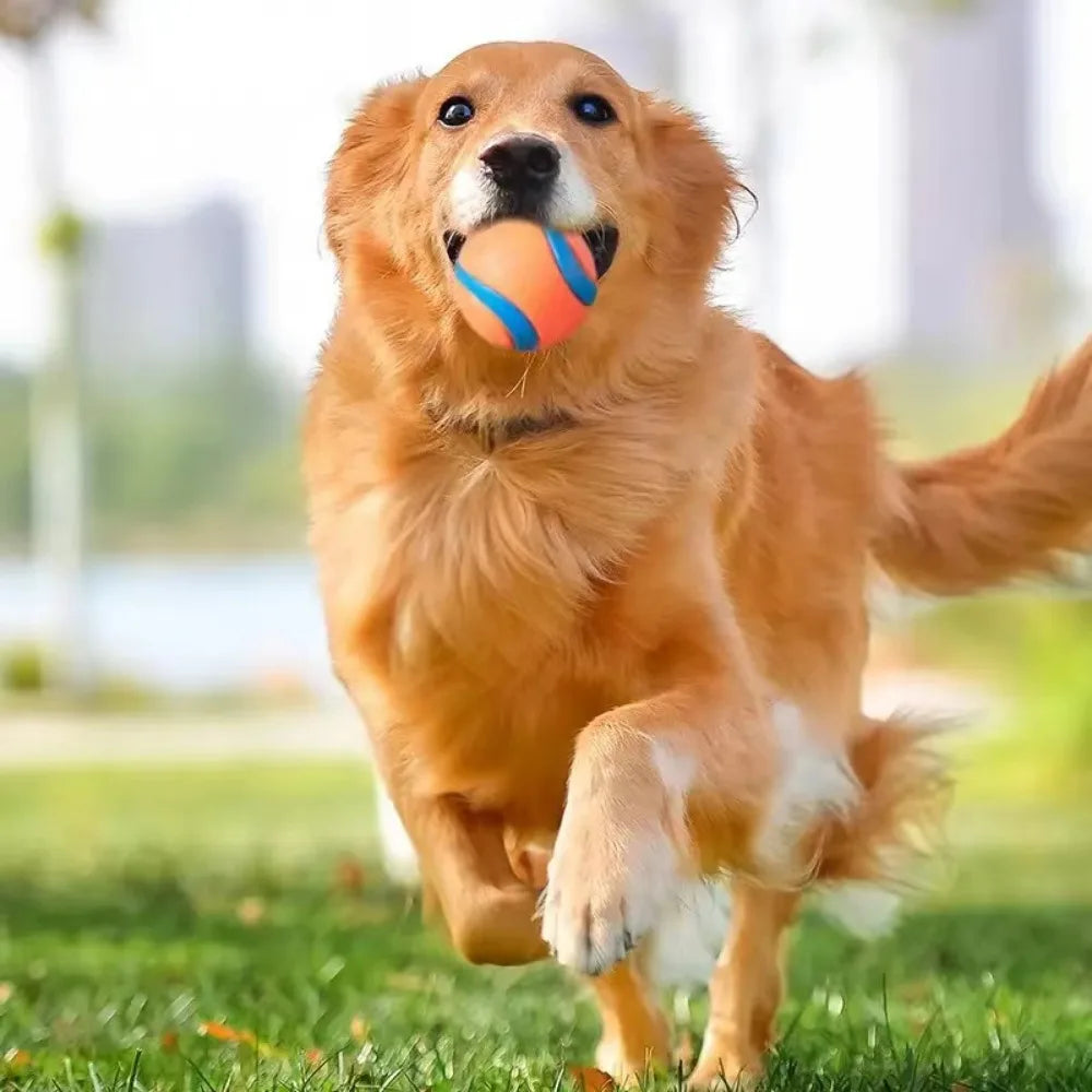 Hundespielzeugball elastisch – robust für Welpen