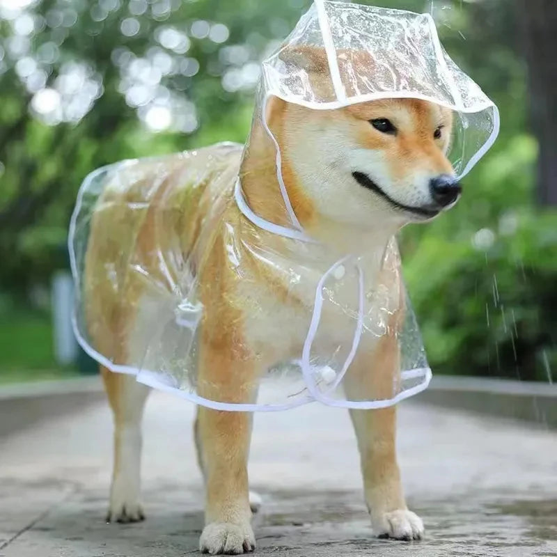Hunde-Regenmantel transparent mit Kapuze
