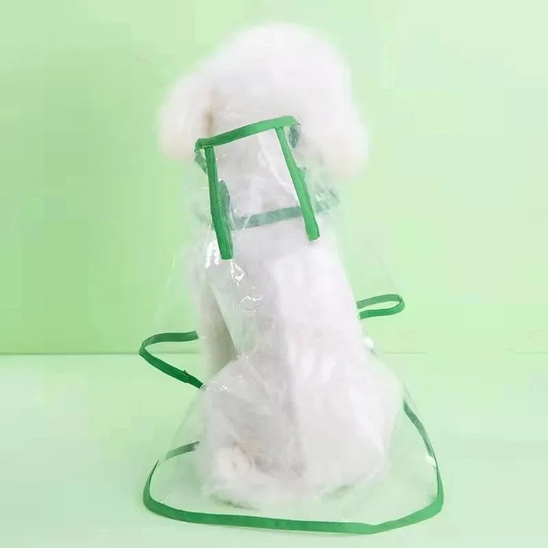 Hunde-Regenmantel transparent mit Kapuze