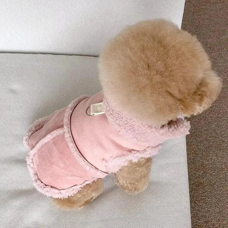 Hunde-Sweatshirt klein – für Chihuahua & kleine Rassen