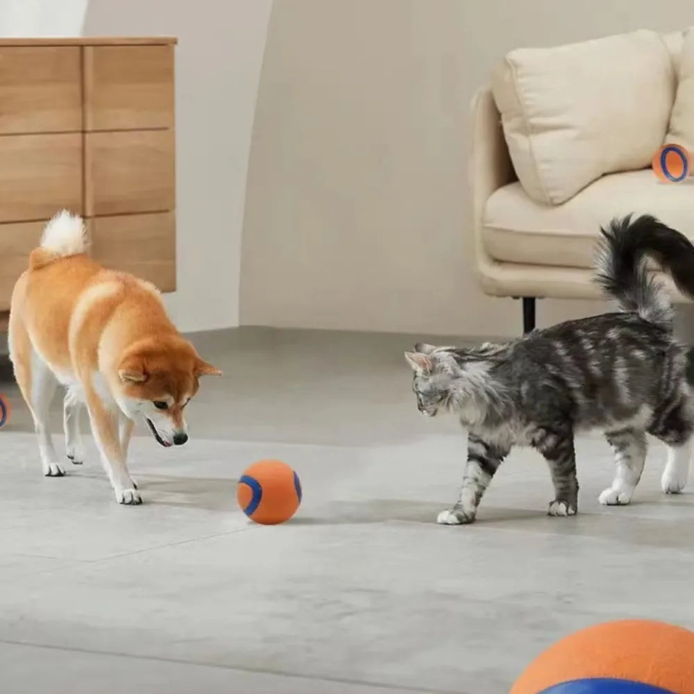 Hundespielzeugball elastisch – robust für Welpen