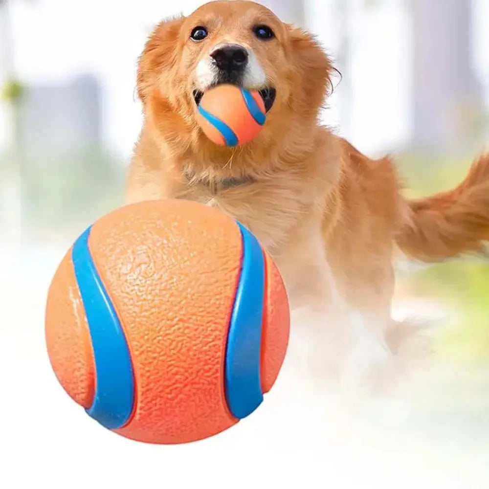 Hundespielzeugball elastisch – robust für Welpen