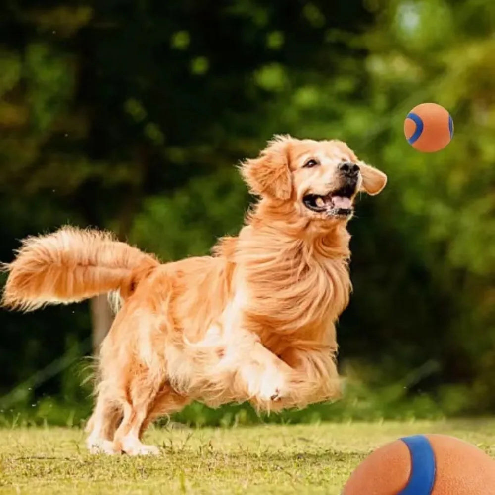 Hundespielzeugball elastisch – robust für Welpen