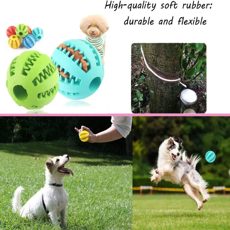 Hunde-Spielzeugball Gummi – Zahnreinigung & Leckerli