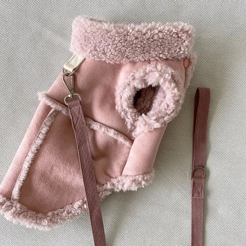 Hunde-Sweatshirt klein – für Chihuahua & kleine Rassen