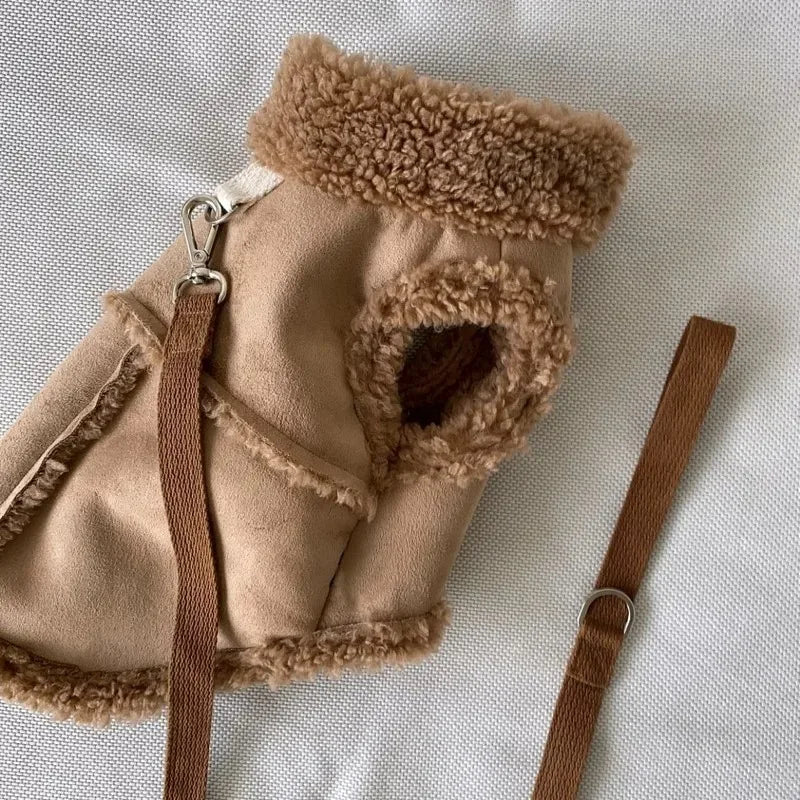 Hunde-Sweatshirt klein – für Chihuahua & kleine Rassen