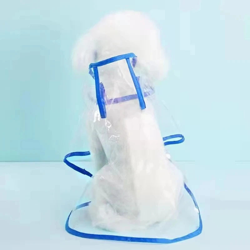 Hunde-Regenmantel transparent mit Kapuze