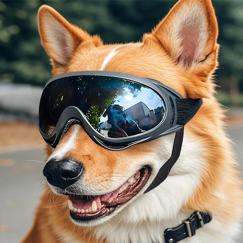 Hunde-Sonnenbrille mit UV-Schutz – verstellbar