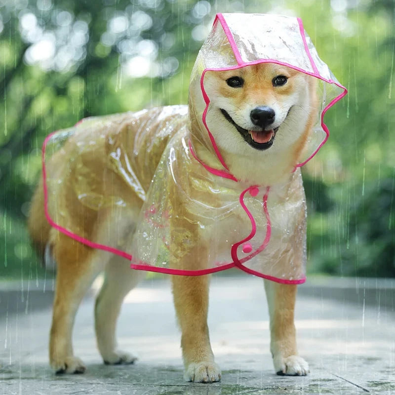 Hunde-Regenmantel transparent mit Kapuze