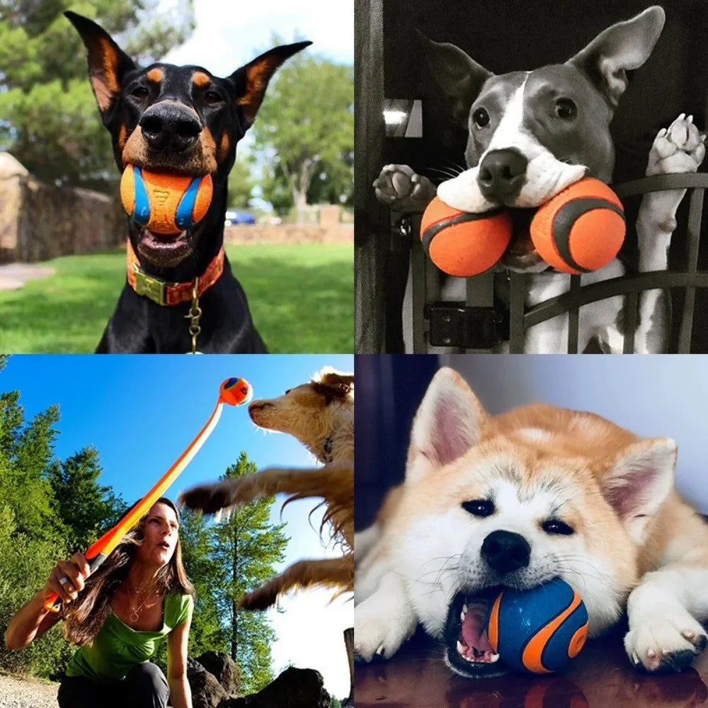 Hundespielzeugball elastisch – robust für Welpen