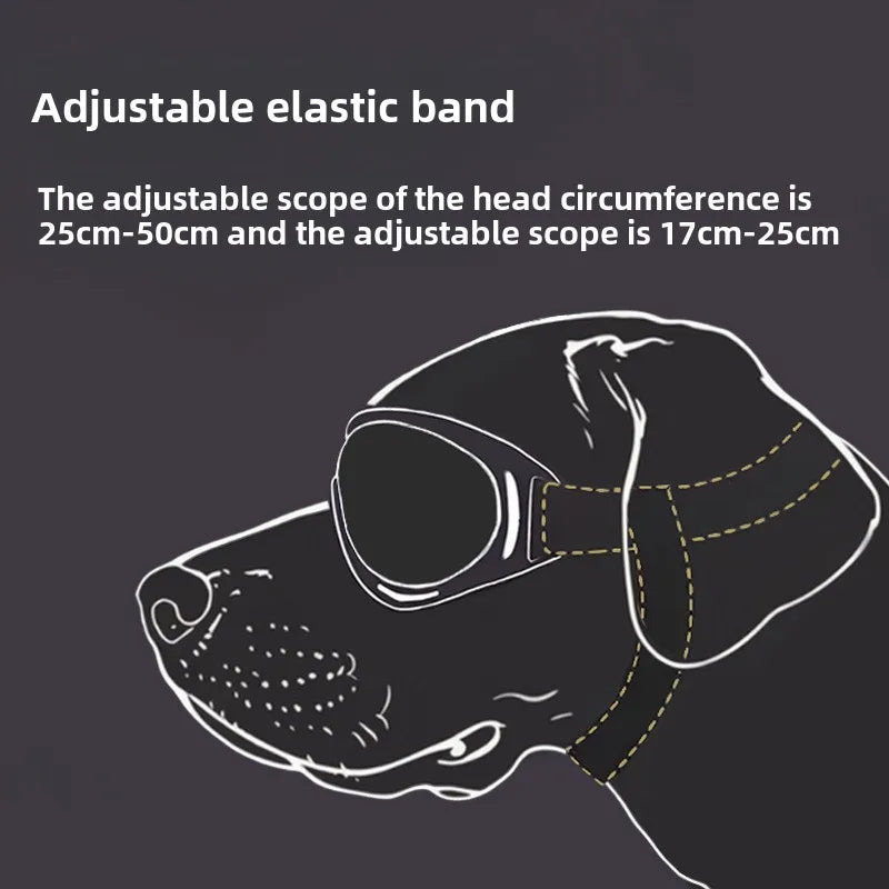 Hunde-Sonnenbrille mit UV-Schutz – verstellbar