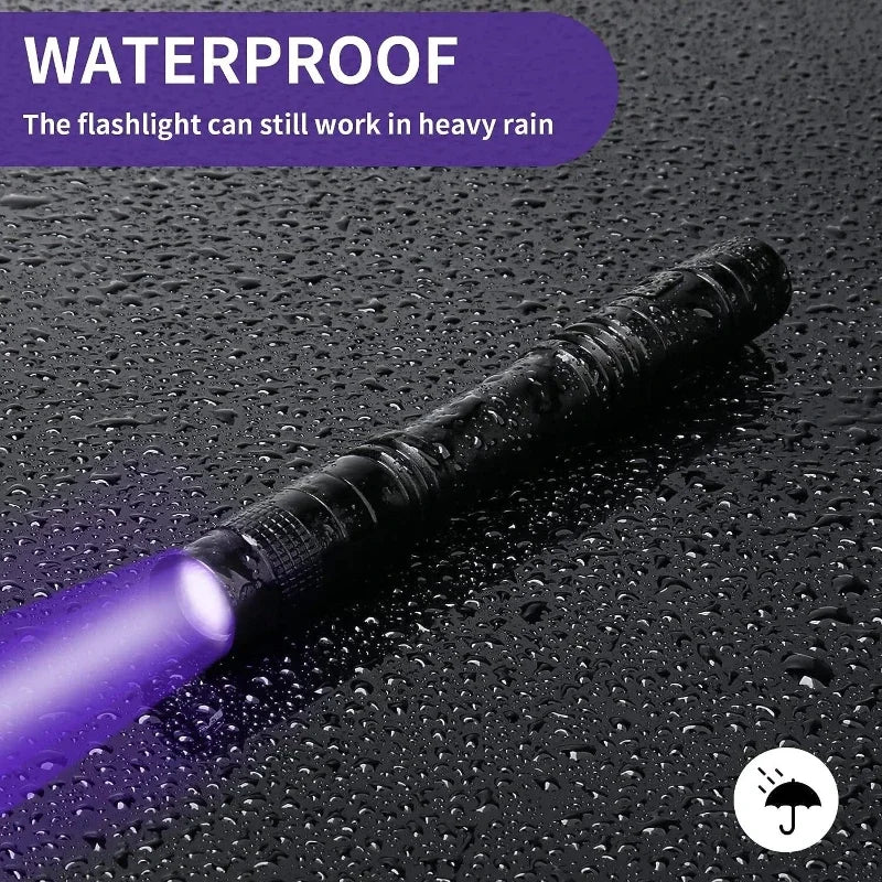 UV Taschenlampe 395nm - Ultraviolett für Haustier-Urin Detektor