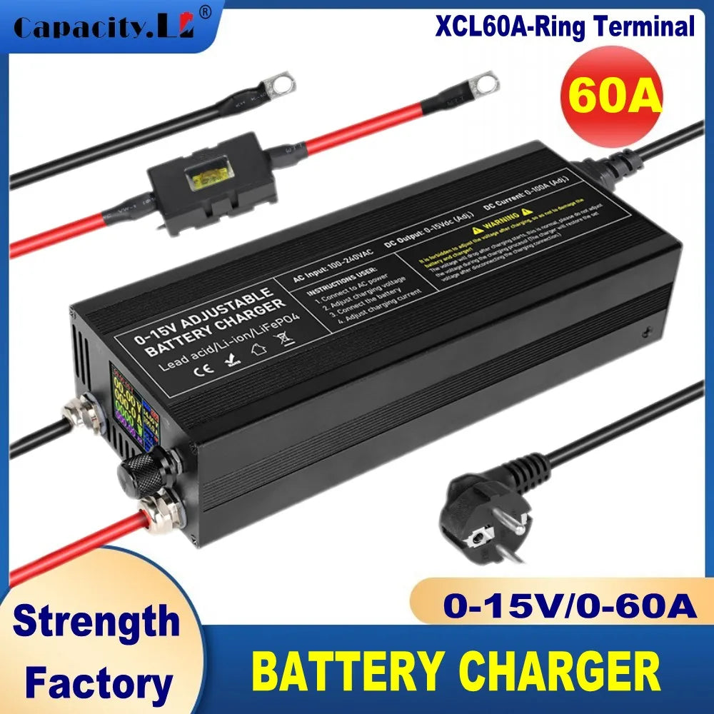 Lithium Batterieladegerät 12V 20-100A – LiFePO4