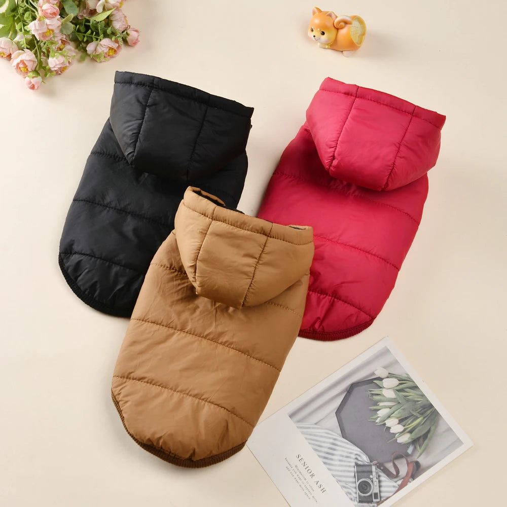 Winter Hundejacke mit Kapuze – warm & wasserdicht